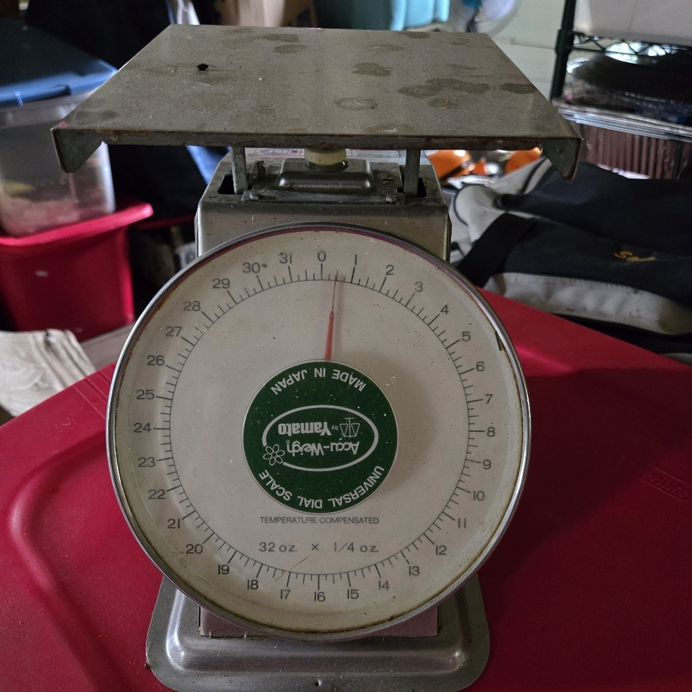 Universal Dial Scale - Silver